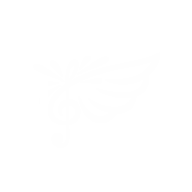 GNR
